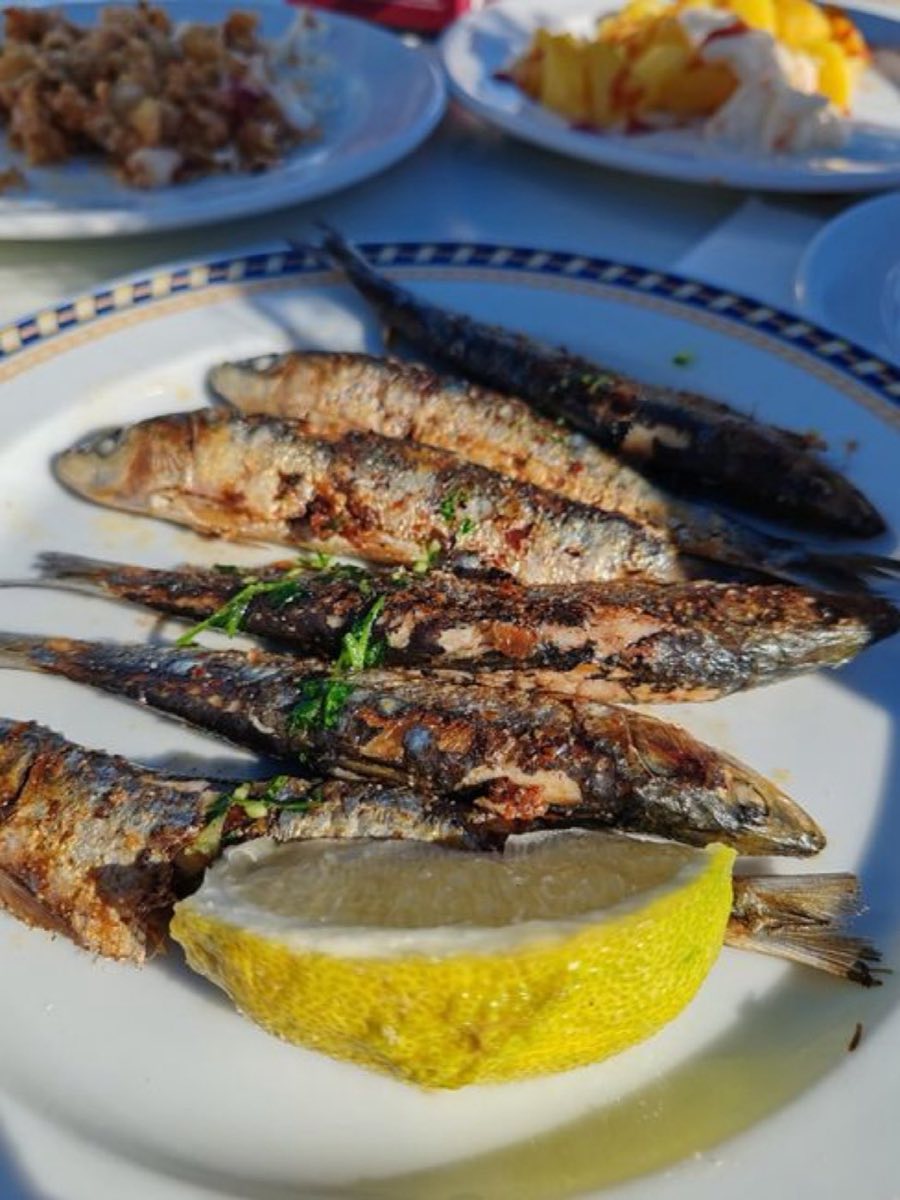 Sardines Cured in Idlib Olive Oil with Lemon and Herbs — Fresh sardines briefly cured in the best available olive oil with lemon zest, fresh chili, bay leaf, and